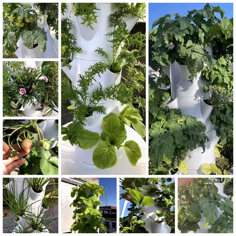 Sa77fa1e0deea4a47a9dc07c1f7ead3a70